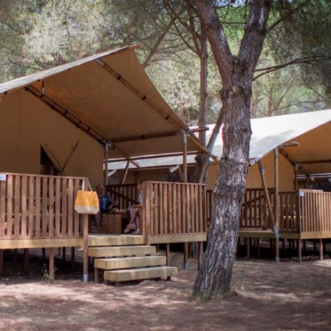 SafariZelt 4 Personen - Lodge