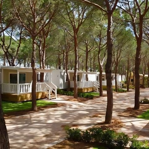 LODGE 4 Personen - Lodge Comfort Maremma