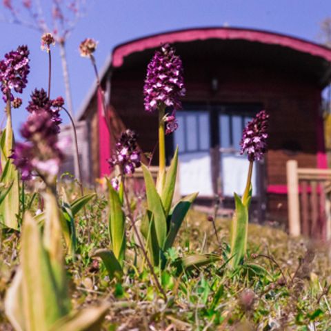 AUßERGEWÖHNLICHE UNTERKUNFT 5 Personen - Wohnwagen Ferienhaus 4/5 Pers.