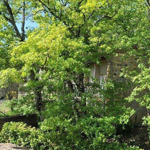 LANDHAUS 6 Personen - Pavillon 6 mit Aussicht - 1 Schlafzimmer + 1 Kabinenzimmer + Terrasse + Klimaanlage + TV - 40m²