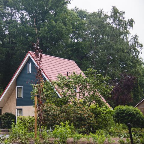 FERIENHAUS 14 Personen - Das Birkhuhn