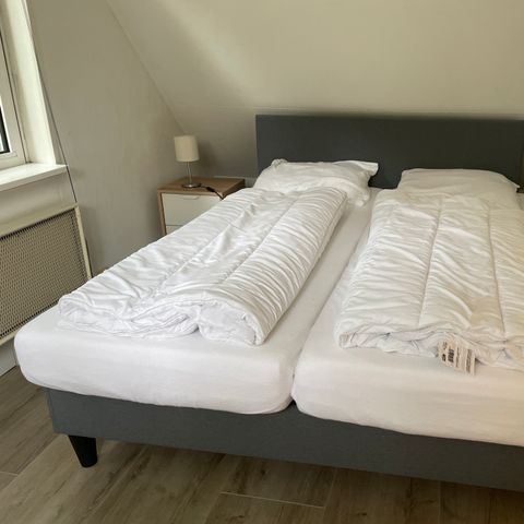 Bungalow 4 Personen - Die Turteltaube