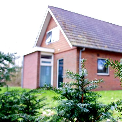 FERIENHAUS 8 Personen - Twente Gent