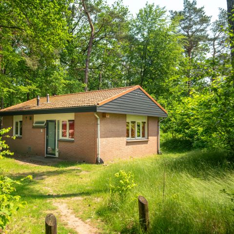 Bungalow 4 Personen - 4B