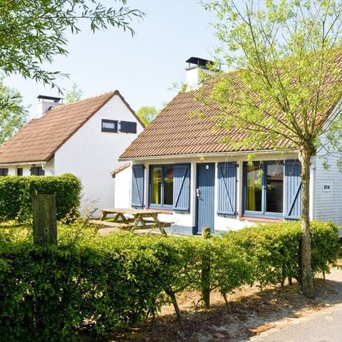 Bungalow 6 Personen - OD517 auswählen