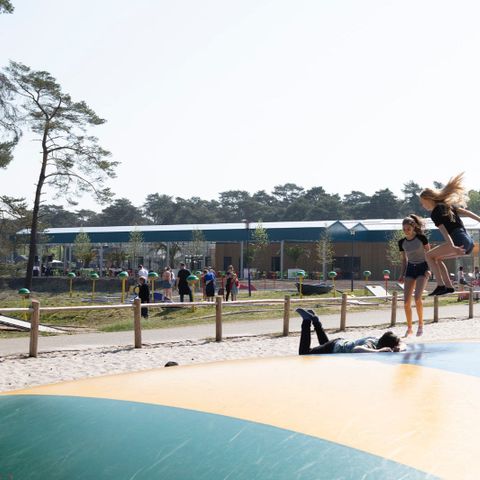 Oostappen park Blauwe Meer - Camping Belgisches Limburg - Image N°4