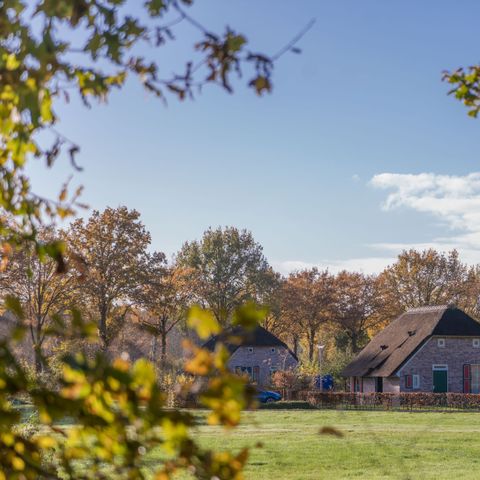 Bungalow 6 Personen - Luxuriöser Ferienhof