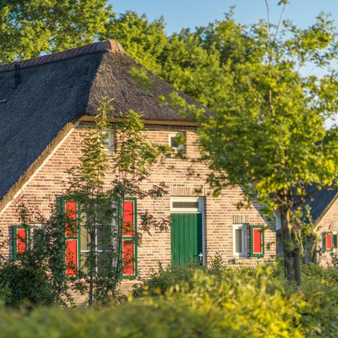 Bungalow 6 Personen - Luxuriöser Ferienhof