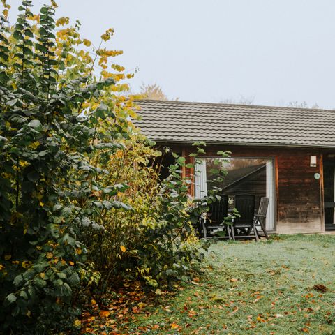 Bungalow 6 Personen - Damhert inkl. Sauna