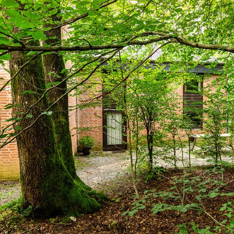 Bungalow 6 Personen - Heidelbeerpfad 5 - Das blaue Häuschen