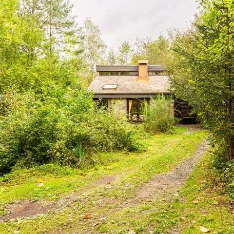 Bungalow 6 Personen - Birkenstraße 6