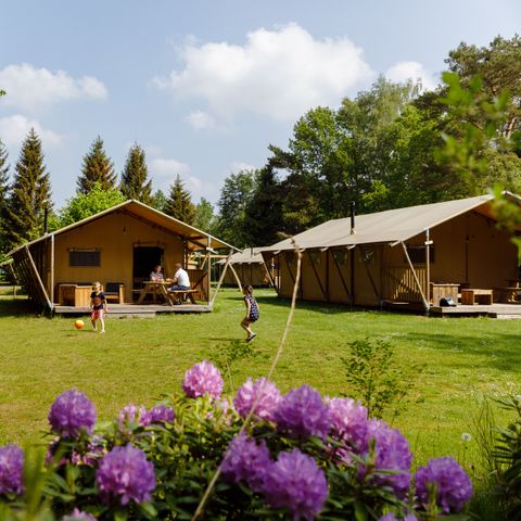 SafariZelt 6 Personen - die Wold Lodge