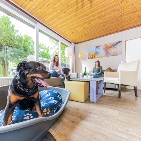 Bungalow 6 Personen - Hunde 6CD