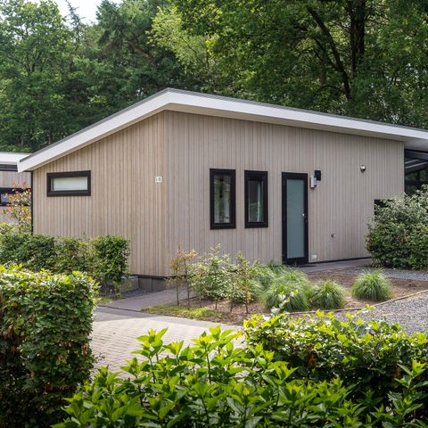 Bungalow 6 Personen - Waldhaus 55