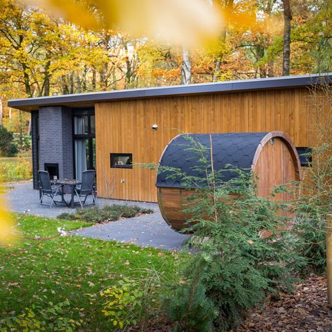 Bungalow 4 Personen - Forest Lodge 55 Eco mit Sauna