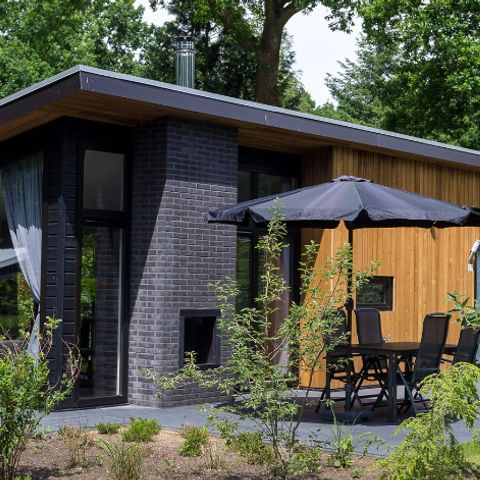 Bungalow 6 Personen - Forest Lodge 55 Eco mit Whirlpool