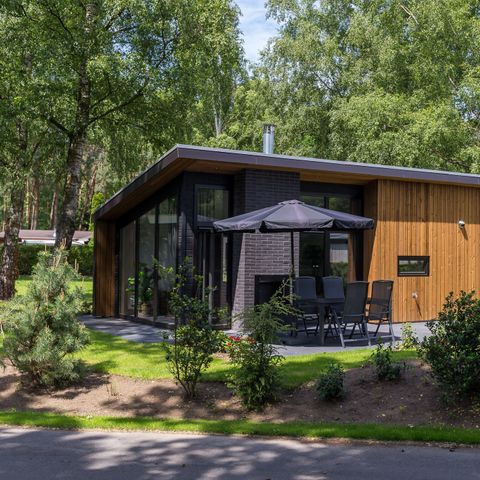 Bungalow 4 Personen - Waldhaus 55 Eco