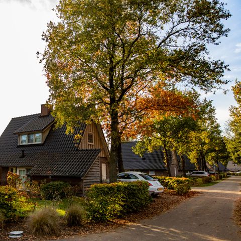 FERIENHAUS 4 Personen - Beukelaer Komfort