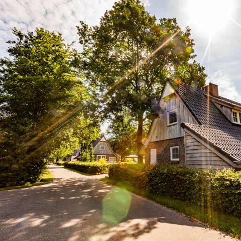 FERIENHAUS 4 Personen - Beukelaer Komfort