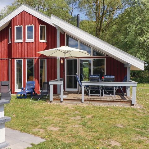 FERIENHAUS 6 Personen - Wildgans DMV715