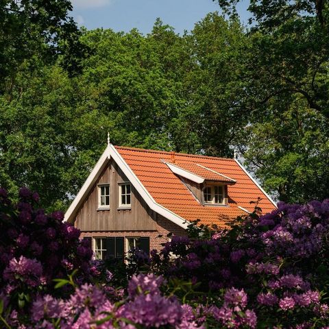 FERIENHAUS 6 Personen - Der Waldkauz